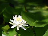 DSC 0280