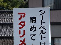 DSC 0354