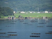 牡蛎の養殖とか