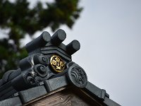 DSC 0502