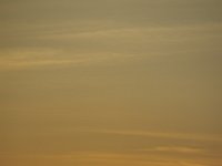 IMG 9696