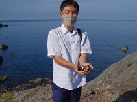 こちらにも
