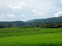 旧国分寺跡付近・・・一寸高台になってます。この辺りに、阿仏房・国府入道などが暮らしていた！