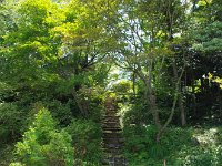 墓地ぬ続く？