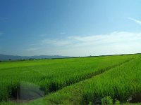 IMG 9894
