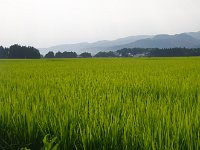 彼方は小佐渡丘陵