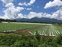 野辺山高原
