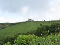 DSC 0486