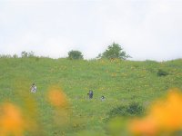 DSC 0514