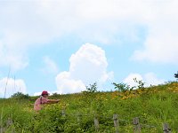 DSC 0527