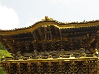 IMG 2556