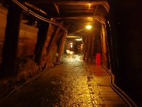 IMG 2637