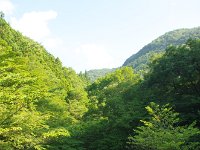 IMG 2671