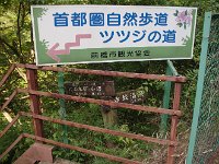 IMG 2676