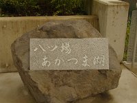 IMG 2781
