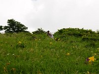 IMG 2844