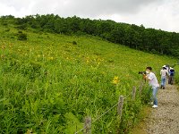 IMG 2901