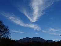 眞弓さんです