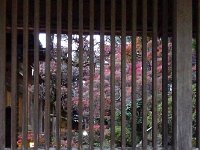 お洒落！