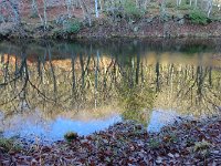 DSC06151