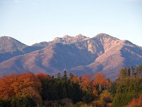 編笠と権現