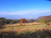 ドッグヤード！？