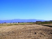 サラダ街道を走ってます