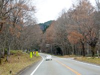 せせらぎ街道を走破