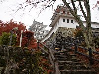 IMG 3969