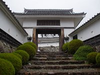 IMG 3974