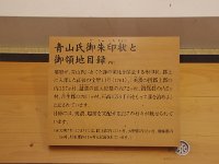 IMG 3982