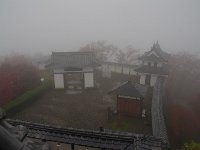 IMG 3992