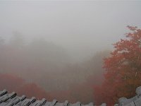 IMG 3993