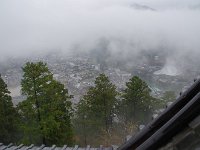 IMG 3997