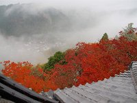 IMG 3998