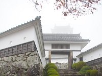 IMG 4016