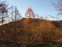 IMG 4048