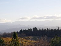 IMG 4068