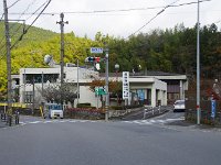 小原の四季桜を目指して