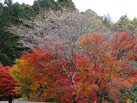 IMG 4188