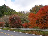 IMG 4191