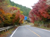 IMG 4197