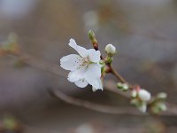 IMG 4206