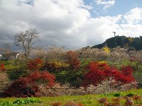 こちらも会場の1つかも