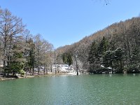 DSC 0258