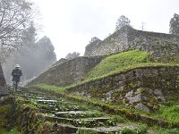 DSC 0989