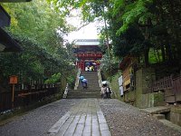 IMG 1645