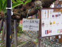 凄いですね！　それでロープウェイ！　納得