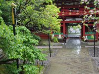 花びらの三葉葵　アイデアですね