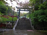 戻ってきました